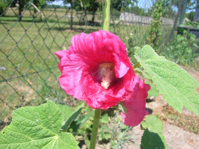 dscn7211.jpg