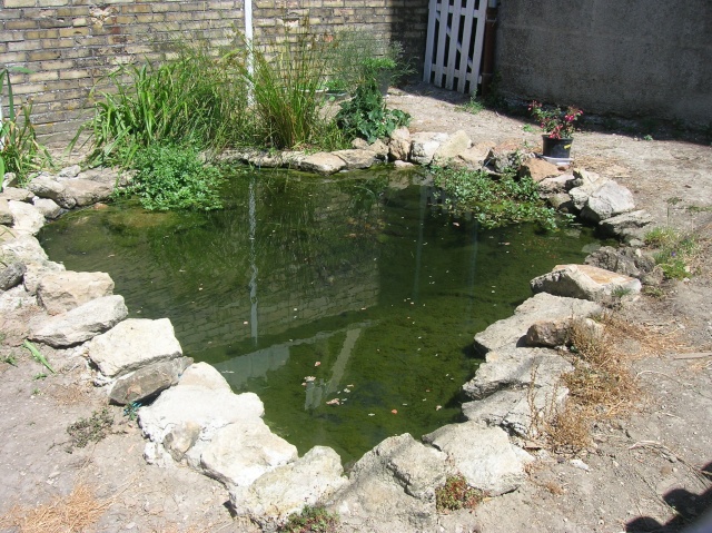 dscn7213.jpg