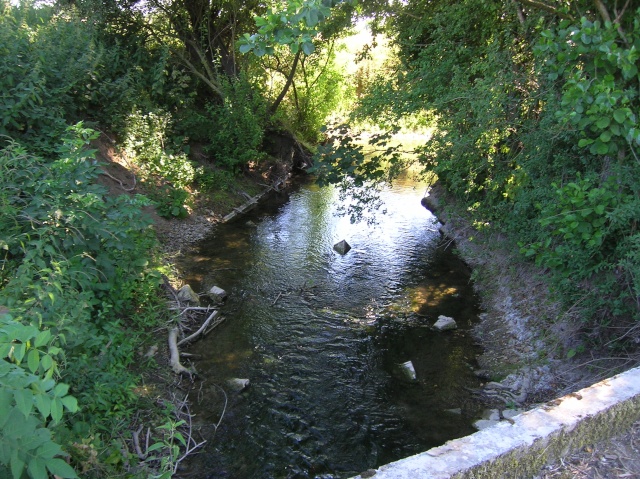 dscn7219.jpg