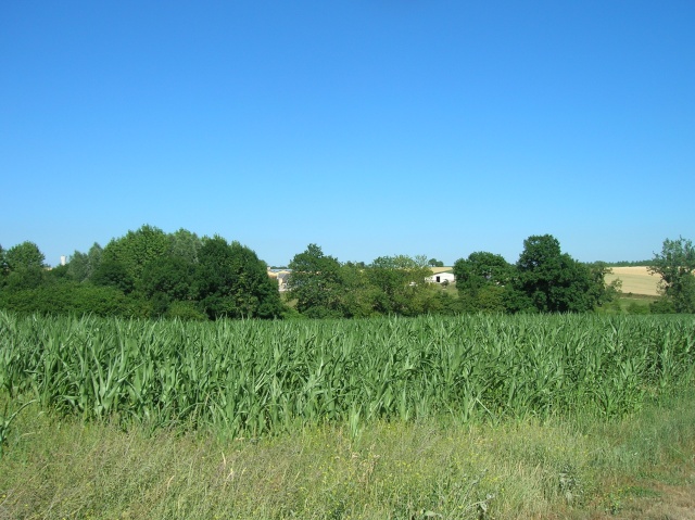 dscn7220.jpg