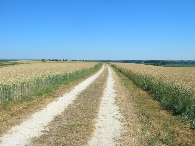 dscn7225.jpg