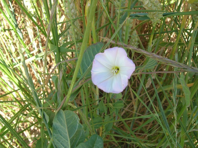 dscn7227.jpg
