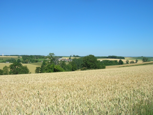 dscn7228.jpg