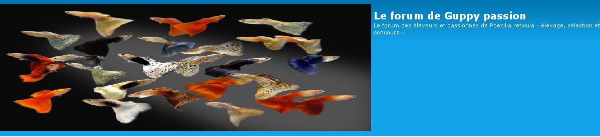 Le forum de guppy passion