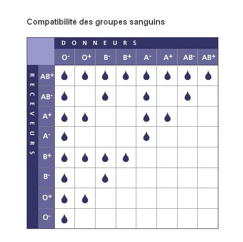 Les Groupes Sanguins