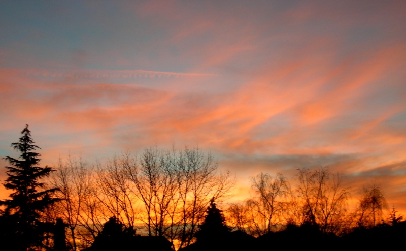 dscn1010.jpg