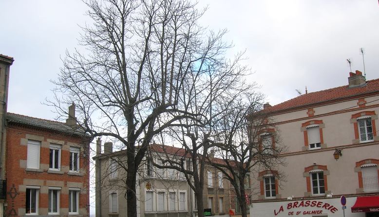 dscn1210.jpg