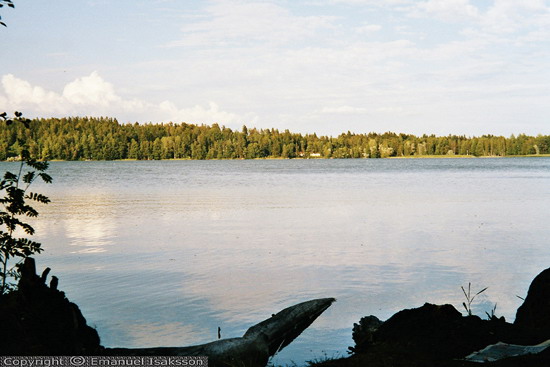 lake2010.jpg