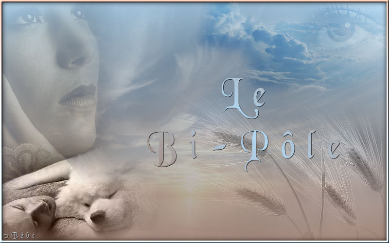 Le Bi-Pôle