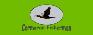 BRICOPESCA