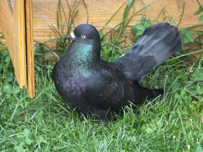 dscf5710.jpg
