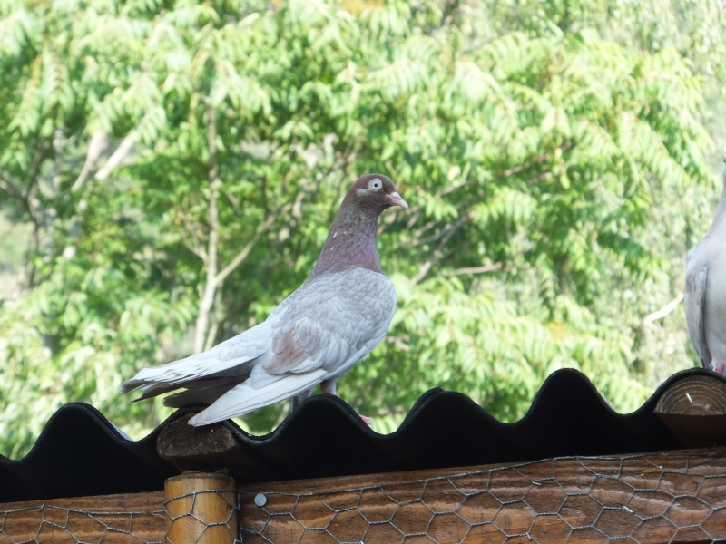 dscf5711.jpg
