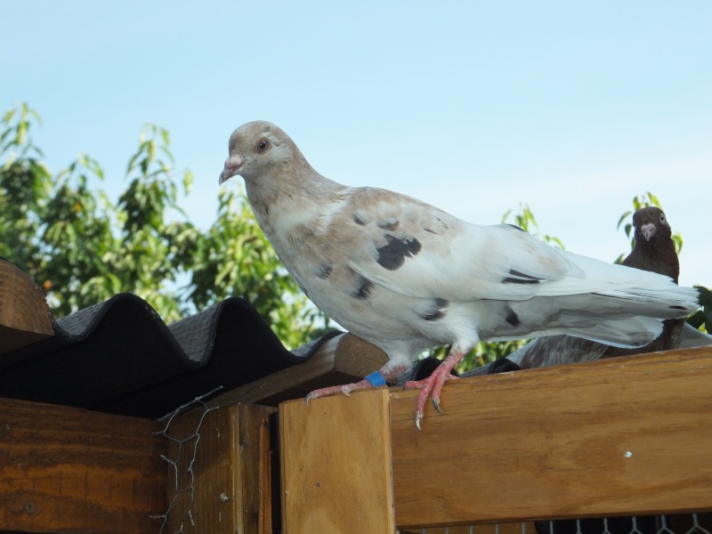 dscf5714.jpg