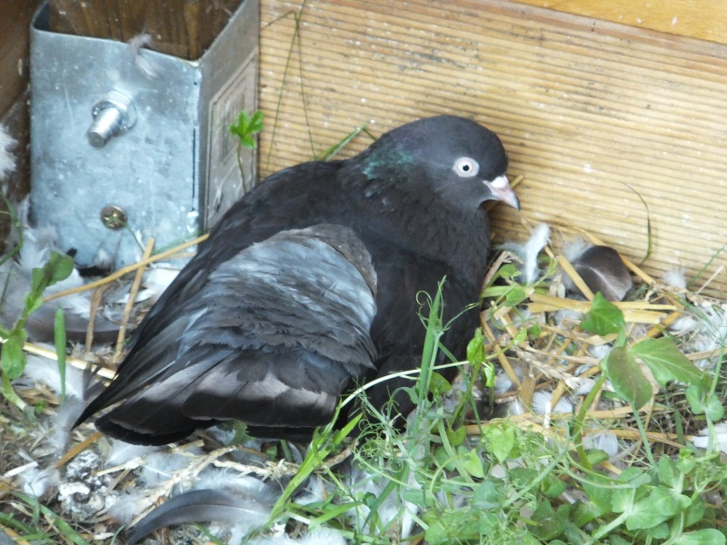 dscf5718.jpg