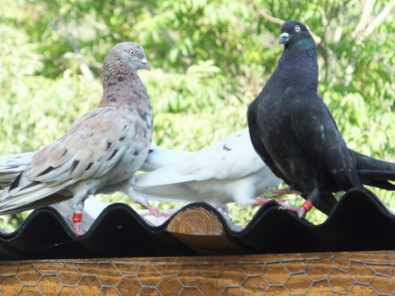 dscf5721.jpg