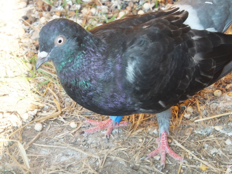 dscf5910.jpg