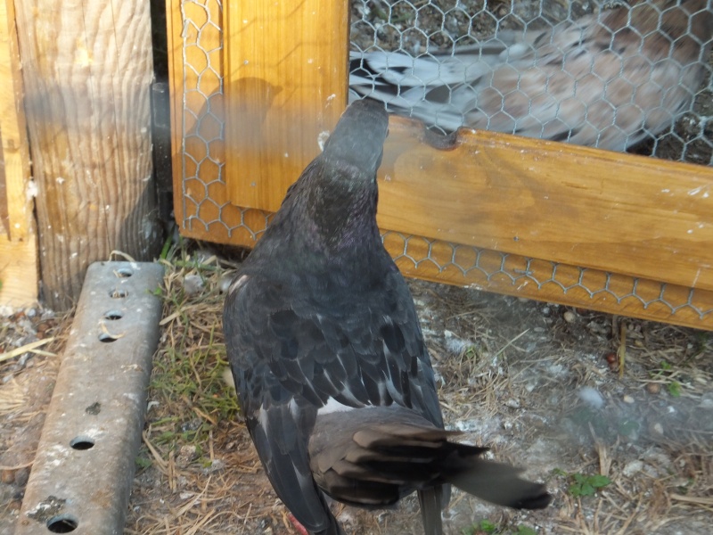 dscf5911.jpg