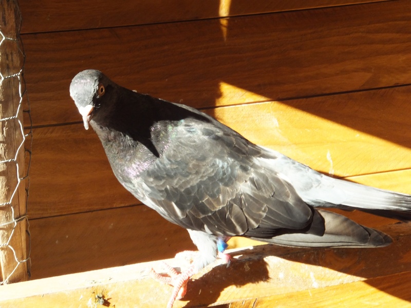 dscf5912.jpg