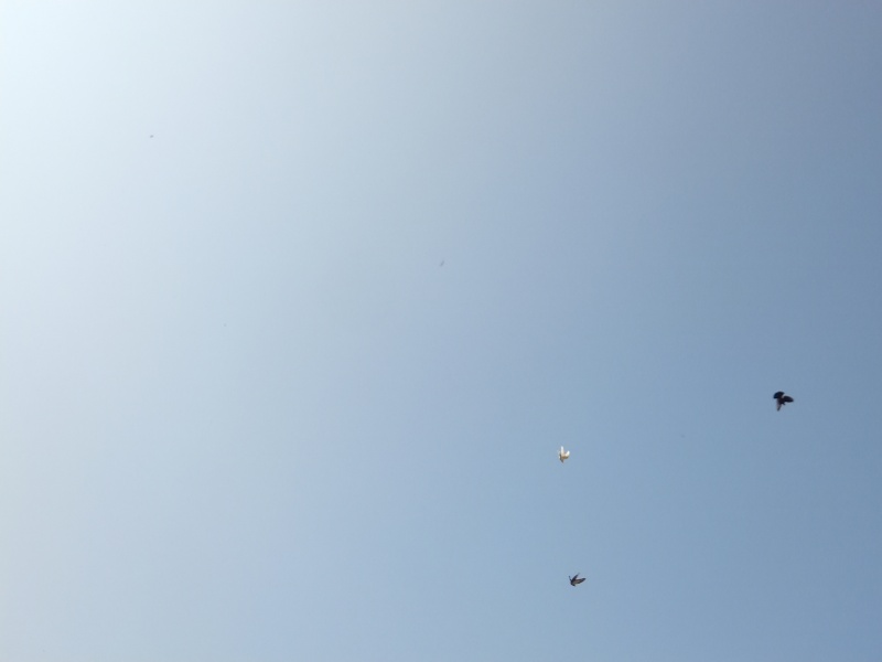 s0025310.jpg