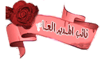 نائب المدير نائب المدير