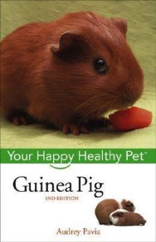 Free Guinea Pig: Your Happy Healthy Pet