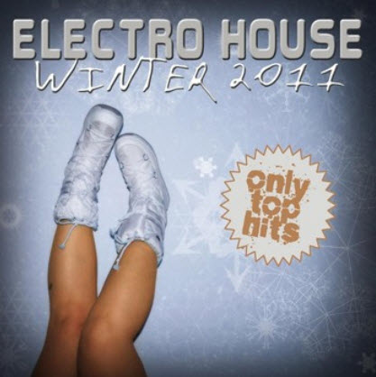 VA - Electro House Winter (2011)