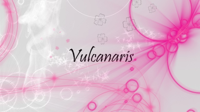 Vulcanaris~ The MapleStory Guild