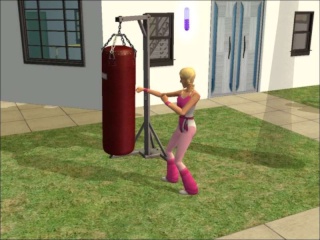 The Sims 2 Fire Dance