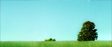 There Is A Only One Tree Hill There Is A Only One Tree Hill