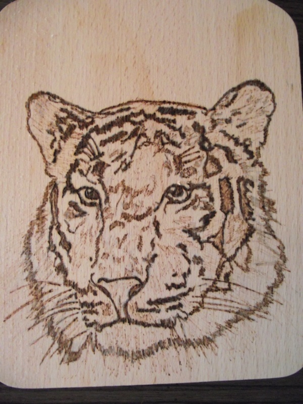 tigre12.jpg