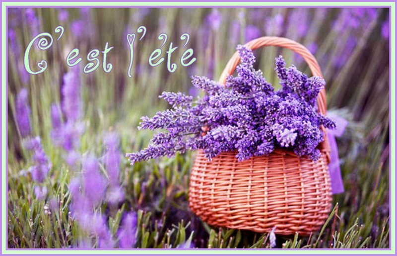 SI LE COEUR VOUS EN DIT