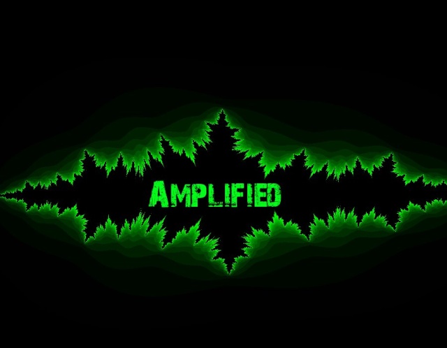 amp10.jpg