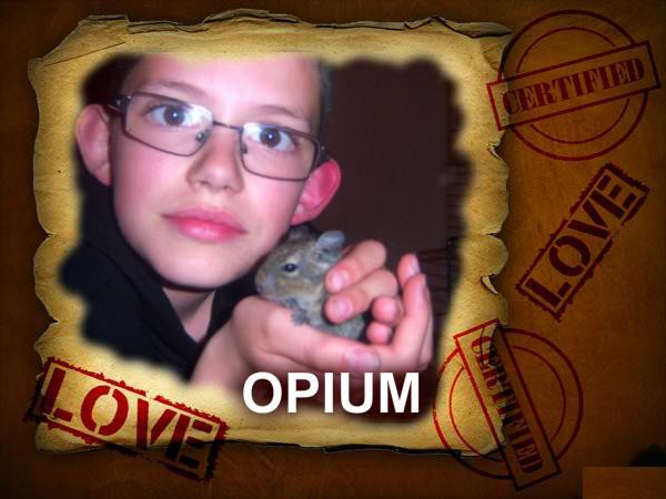 opium10.jpg