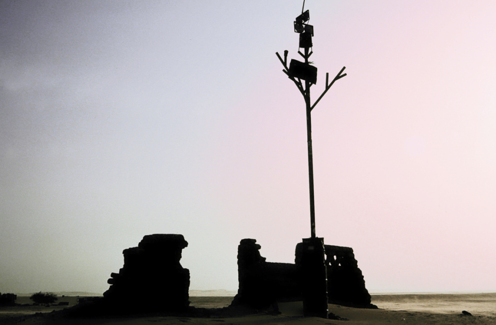 arbre_11.jpg