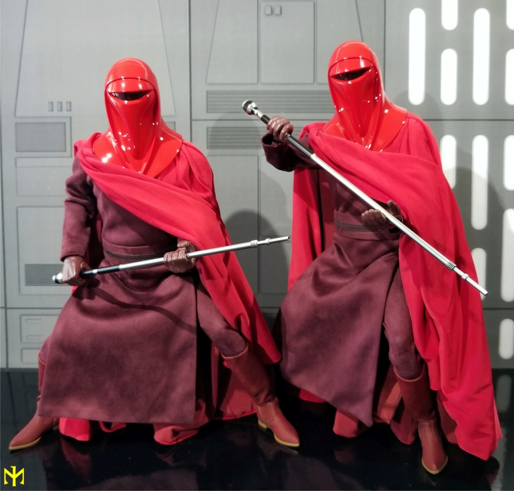 hot toys imperial guard